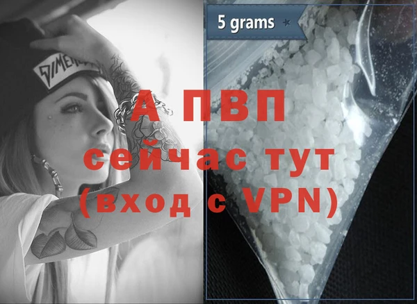 спайс Алзамай