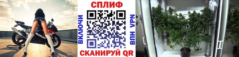 Марихуана семена  Нерехта 